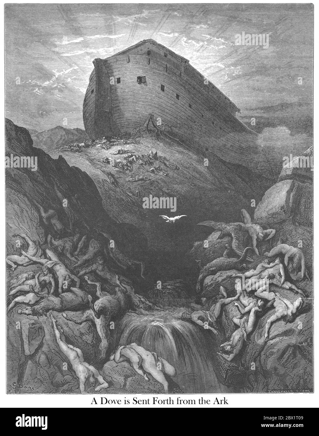 La Colomba inviata dalla Genesi Arca 8:11 dal libro 'Bible Gallery' illustrato da Gustave Dore con memorie di Doré e Letter-press descrittivo di Talbot W. Chambers D.D. Pubblicato da Cassell & Company Limited a Londra e contemporaneamente da Mame a Tours, Francia nel 1866 Foto Stock