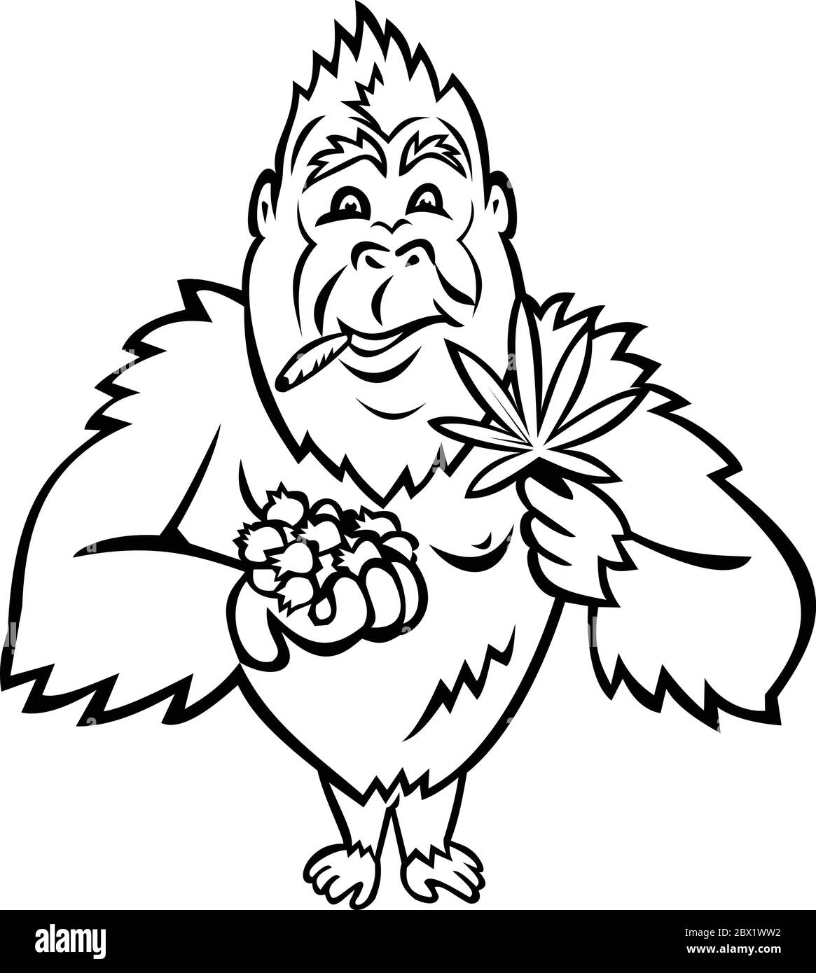 Mascotte nere e bianche illustrazione di un gorilla blu che tiene un mazzo di mirtillo su una mano e foglia di cannabis su un altro fumo di un comune in piedi fra Illustrazione Vettoriale