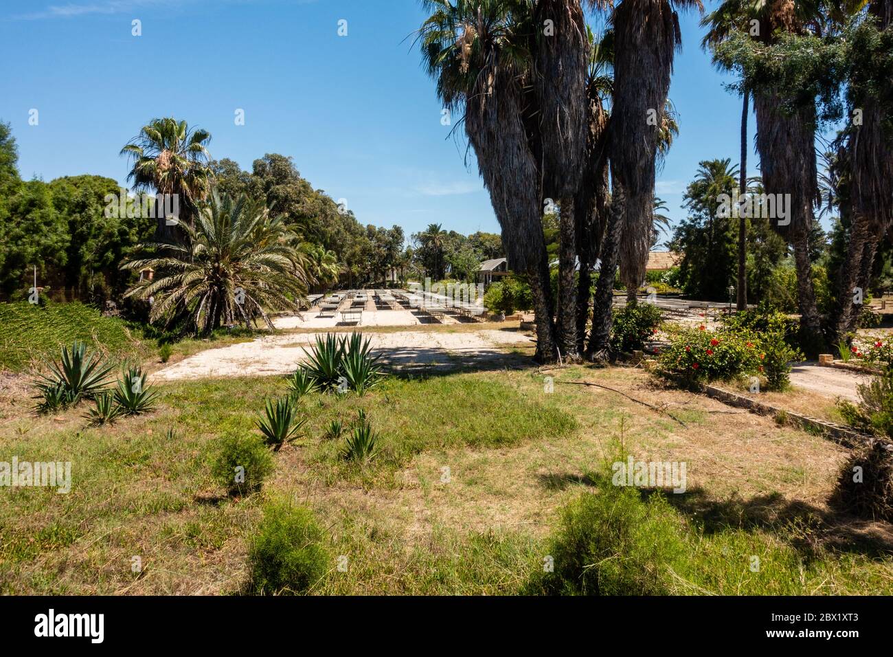 centro di piantagione forestale Foto Stock
