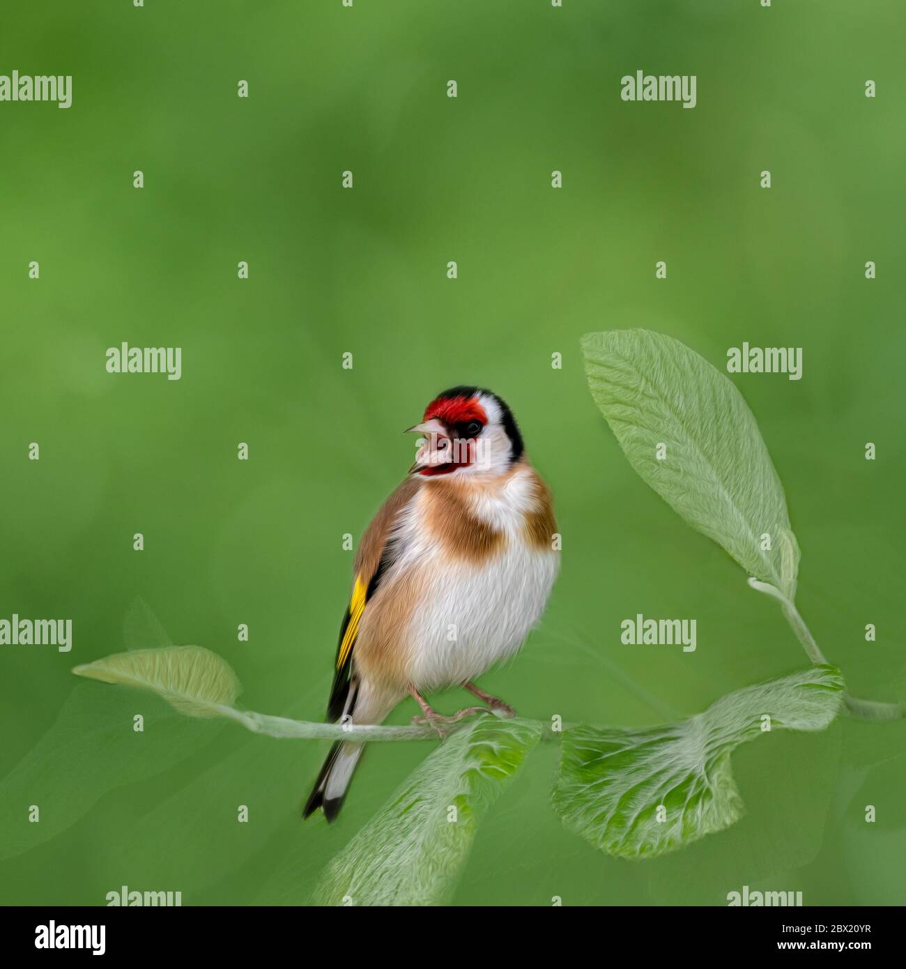 Effetto di pittura ad olio Goldfinch con sfondo testurizzato Foto Stock