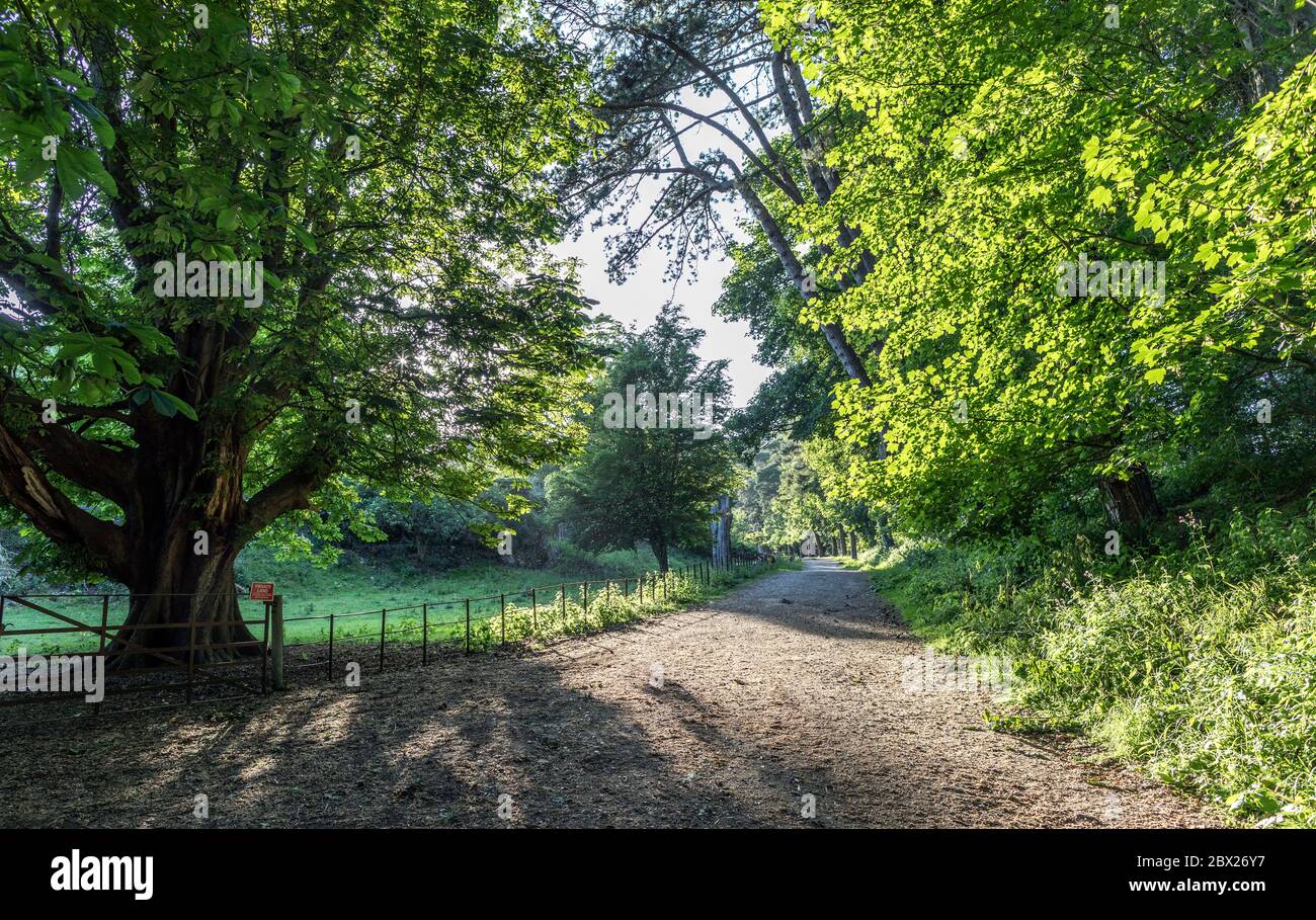 Una strada di ponte a Saltwood, l'Hythe Kent UK Foto Stock