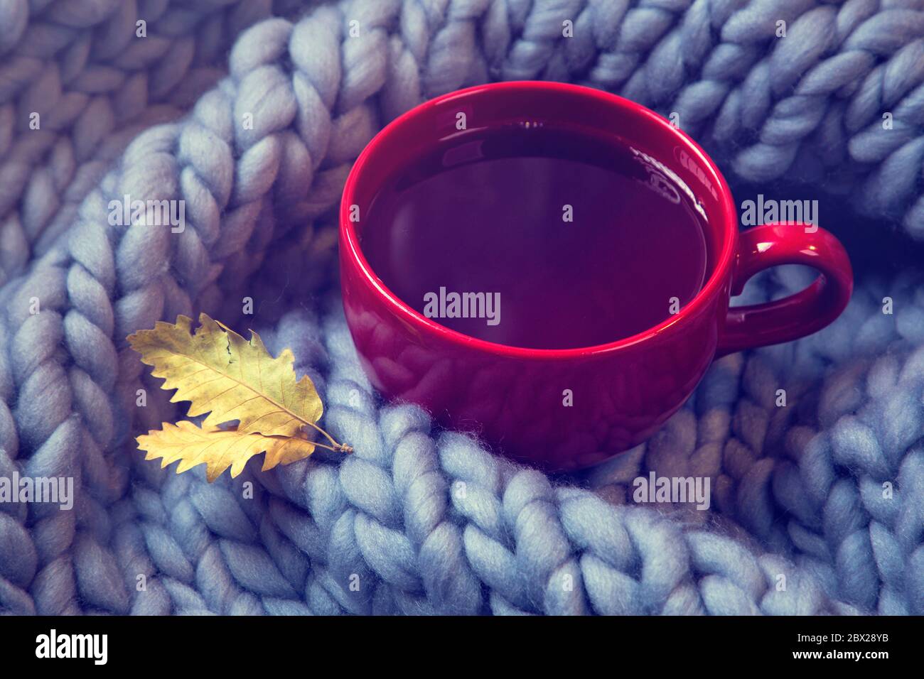 Tazza rossa di tè e coperta di lana Foto Stock