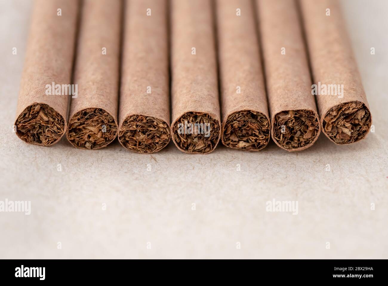 Primo piano di sigari scuri, sigarette marroni su sfondo di carta neutro. Cattivo concetto di abitudine Foto Stock