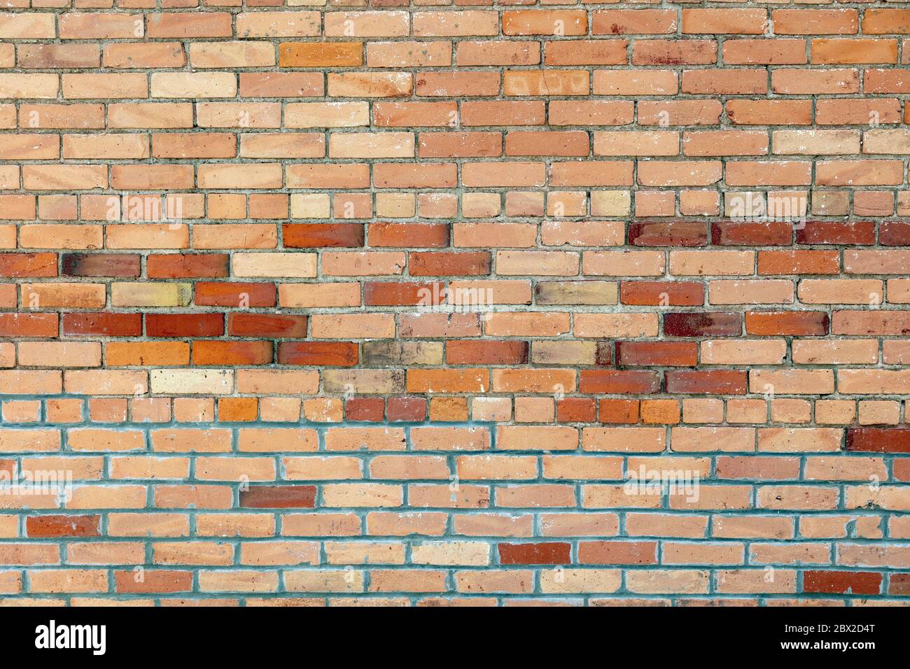 Muro di mattoni, di James D Coppinger/Dembinsky Photo Assoc Foto Stock