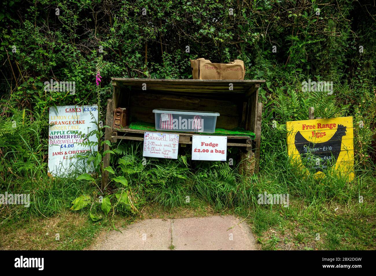 Gamma libera, uovo, Holding, giorno, agricoltore, segno, adulto, Agricoltura, cesto, Fattoria, libertà, Giardinaggio, piccolo, Negozio, supporto, Agricoltura, tenda, Busines Foto Stock