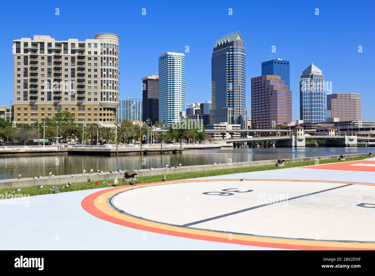 Skyline di Tampa e Hillsborough River, Florida, Stati Uniti, Nord America Foto Stock