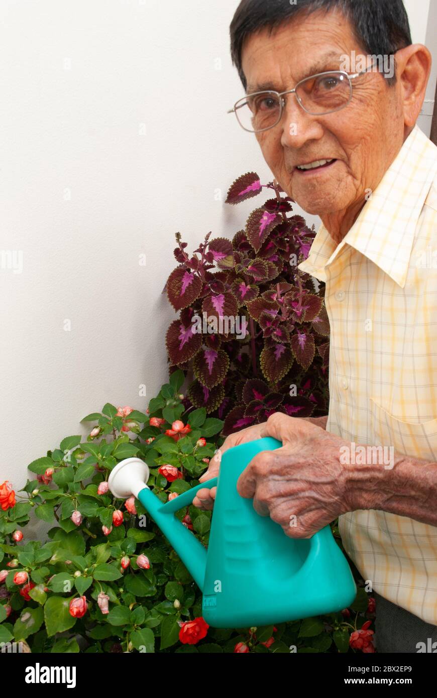 Anziano che si prende cura del suo giardino. Foto Stock
