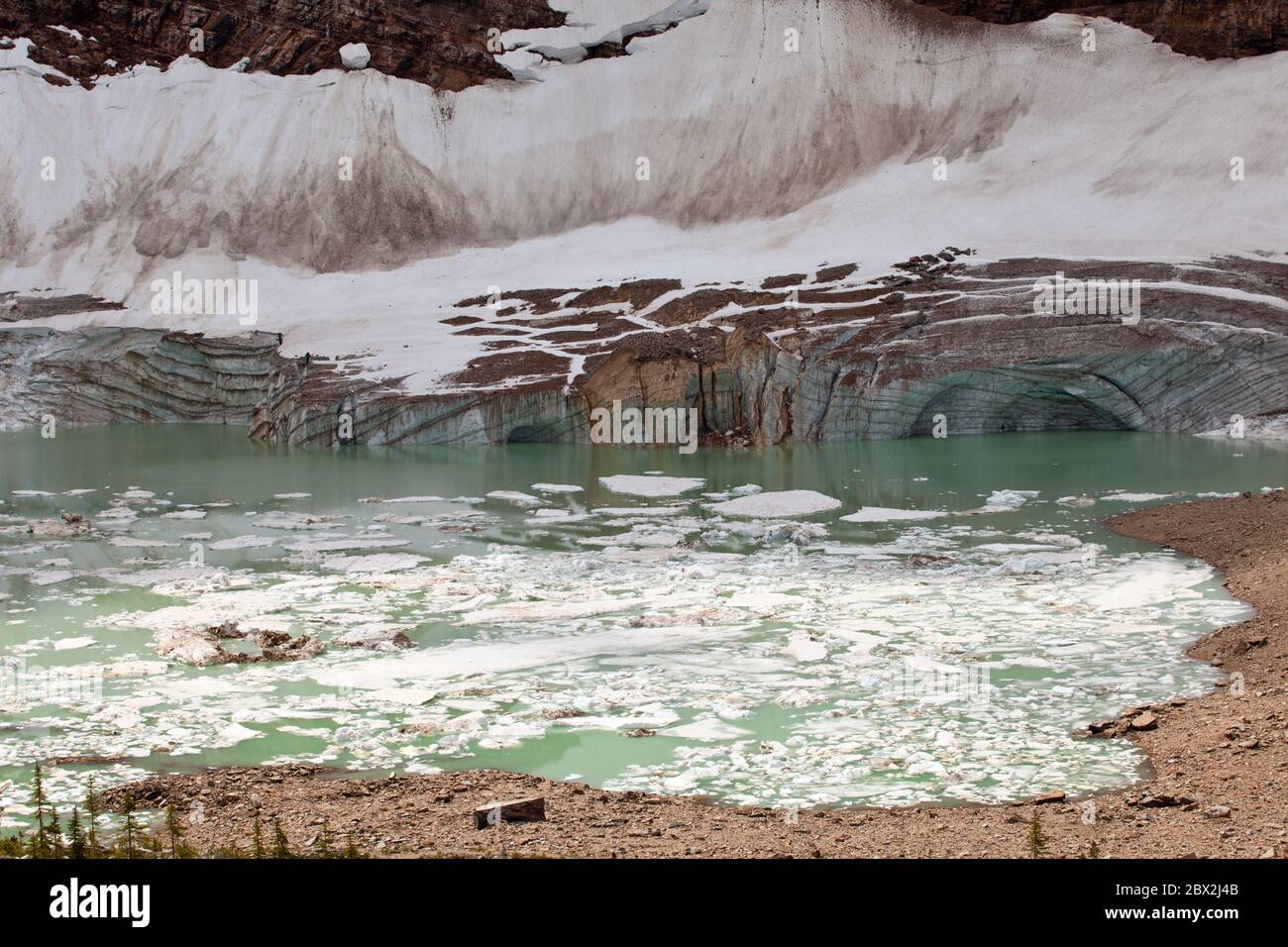 Cavell Pond Foto Stock