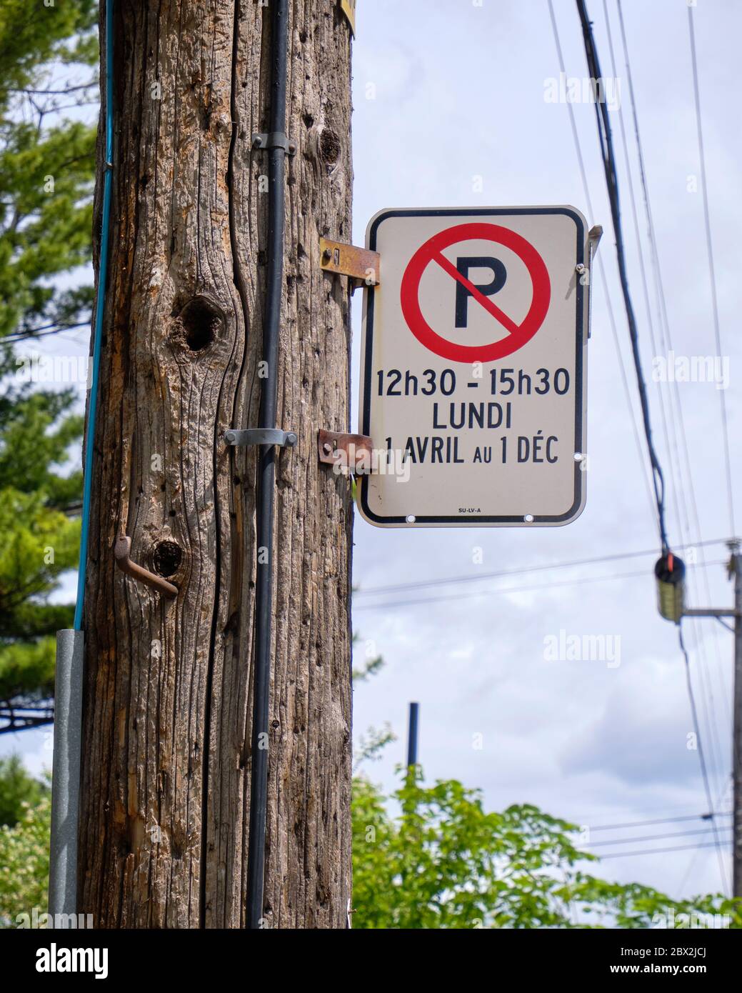 Montreal Street, nessun cartello di parcheggio in un periodo specifico per la pulizia della strada in estate Foto Stock
