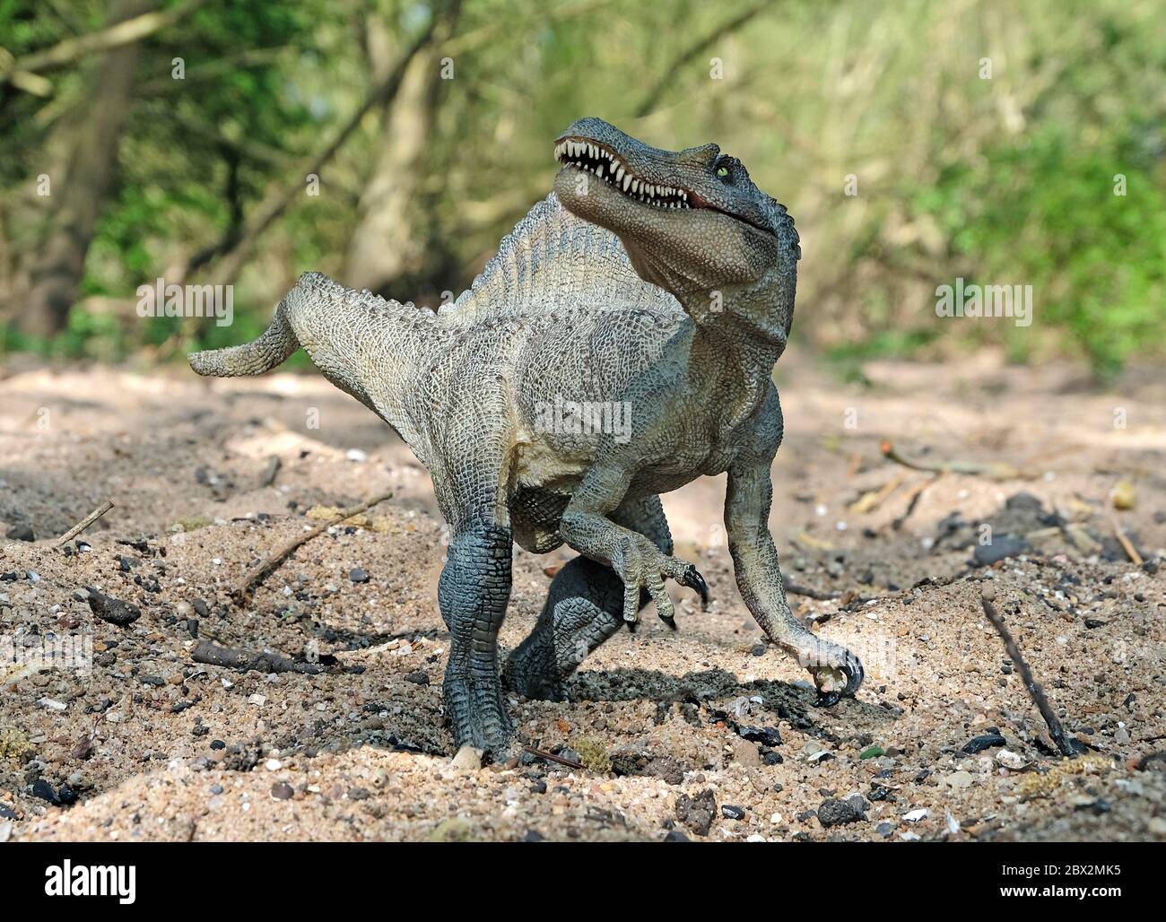 Giocattolo modello dinosauro Spinosaurus in un ambiente naturale Foto stock  - Alamy