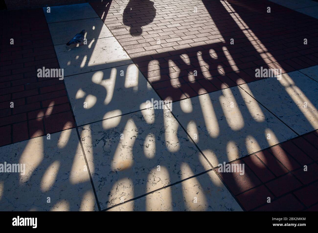 La British Library di Londra, Inghilterra, Regno Unito Foto Stock