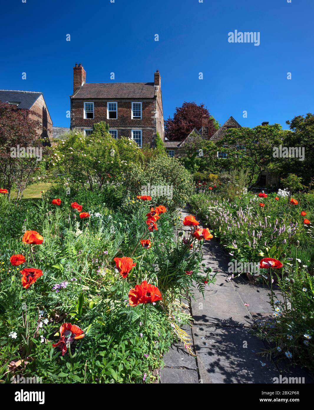 Vista diurna estiva dei Giardini Crook Hall, Durham City, County Durham, Inghilterra, Regno Unito Foto Stock