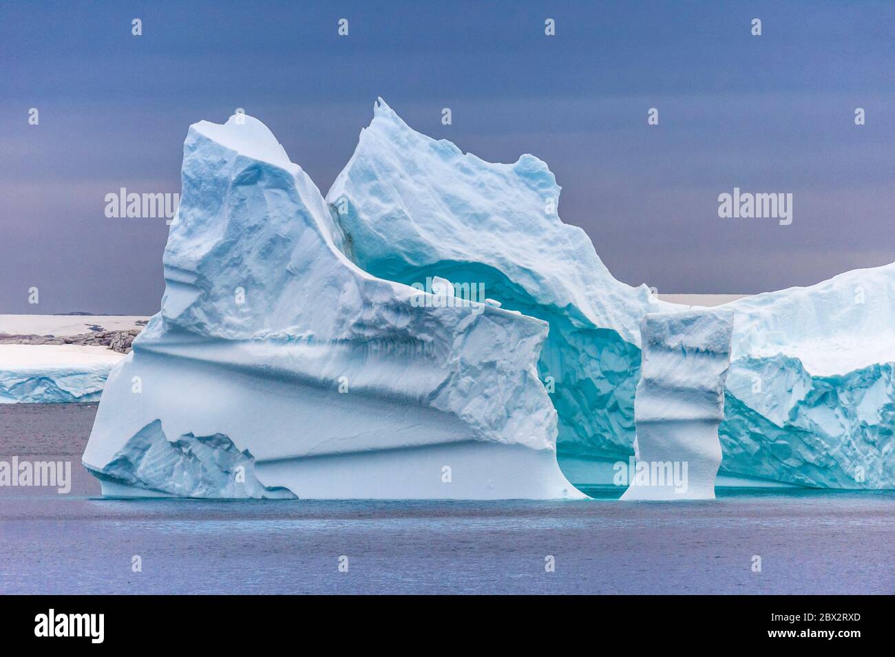 Antartide, Oceano Meridionale, Penisola Antartica, Terra Graham, Isola Booth, Port Charcot, ghiaccio drift e paesaggio iceberg Foto Stock