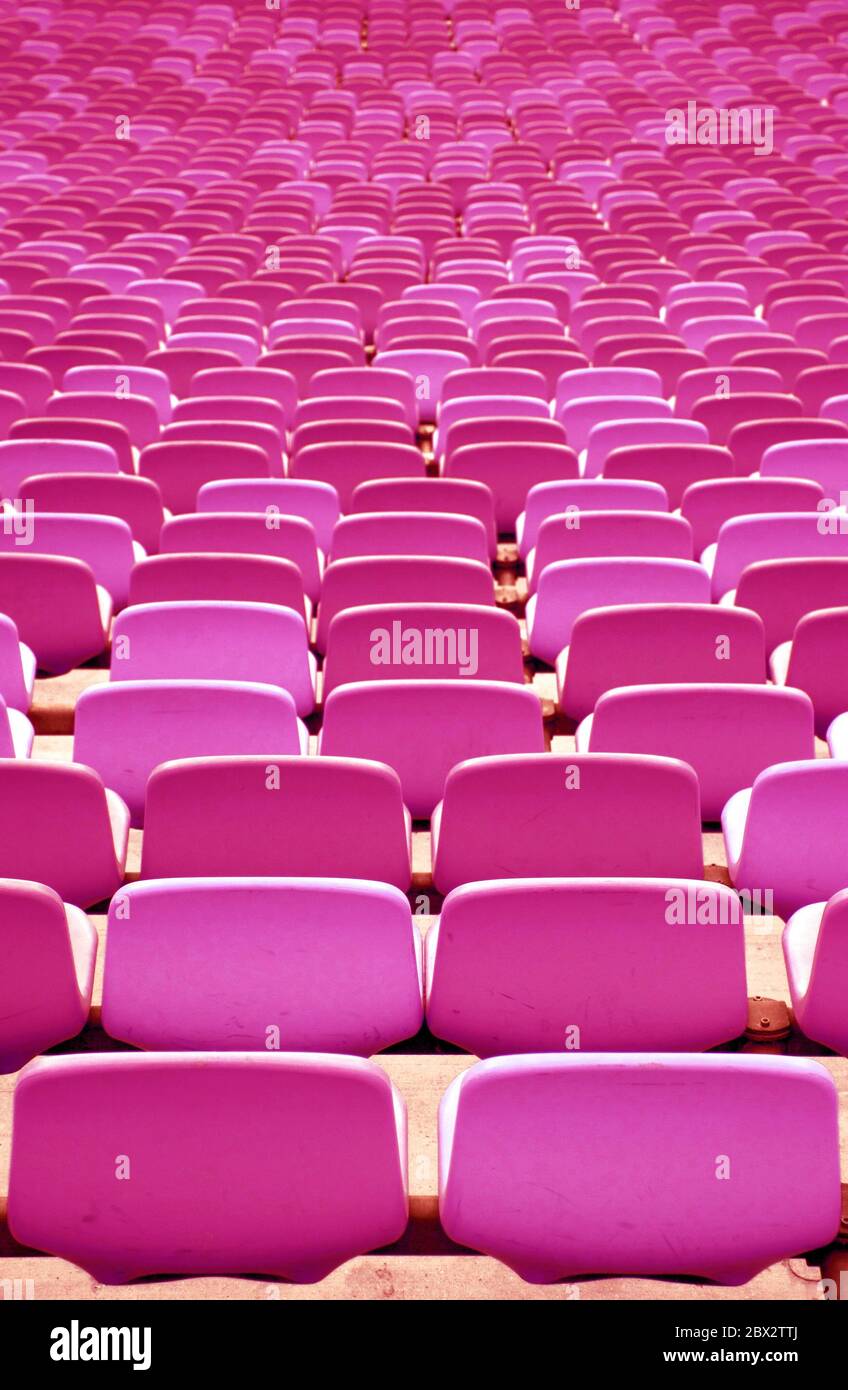 Posti a sedere al Pink Stadium in file da dietro Foto Stock