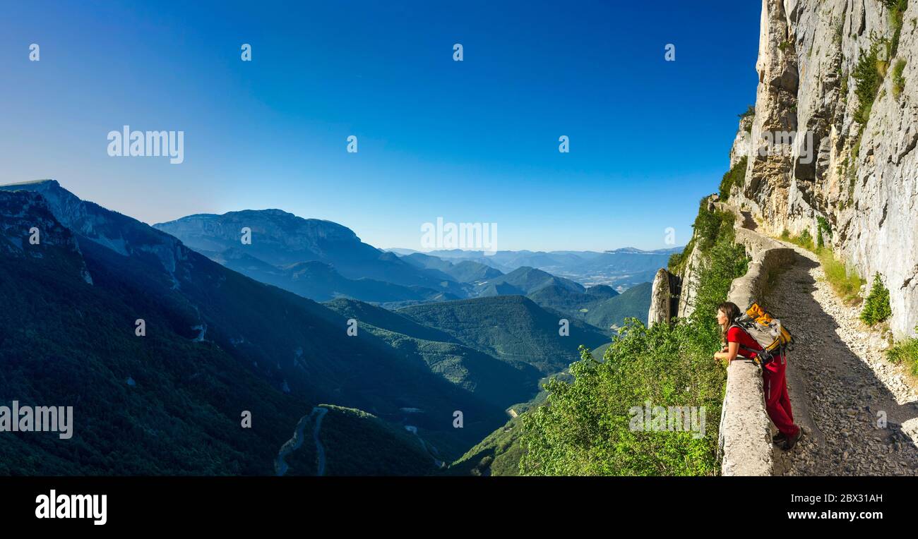 Francia, Drôme (26), Parco Naturale Regionale del Vercors, Rousset-en-Vercors, Montagne de Nève, escursionista su un sentiero transumanza delimitato da un basso muro di pietra tra il passo Rousset (1249 m) e il passo Chironne (1416 m) Foto Stock