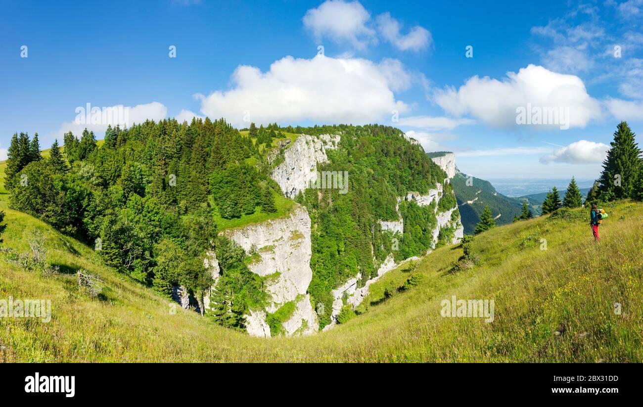 Francia, Isère (38), Parco Naturale Regionale del Vercors, Saint-Nizier-du-Moucherotte, l'altopiano di Sornin, punto di vista sulle scogliere a nord dell'altopiano Foto Stock