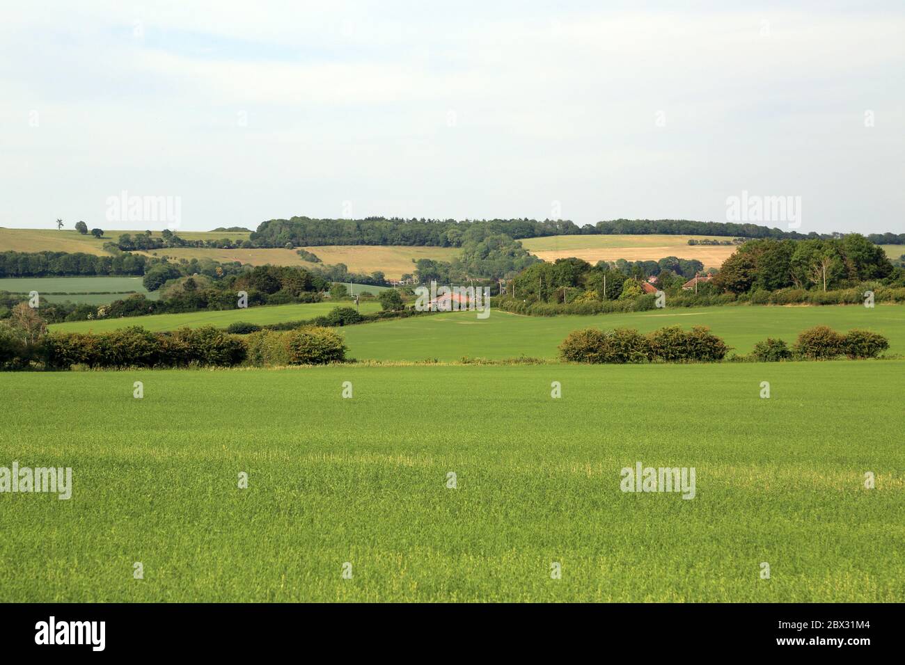 Campo e campagna con vista verso North Downs da Brabourne Lees vicino Ashford, Kent, Inghilterra. Campo è noto come campo ospedaliero Foto Stock