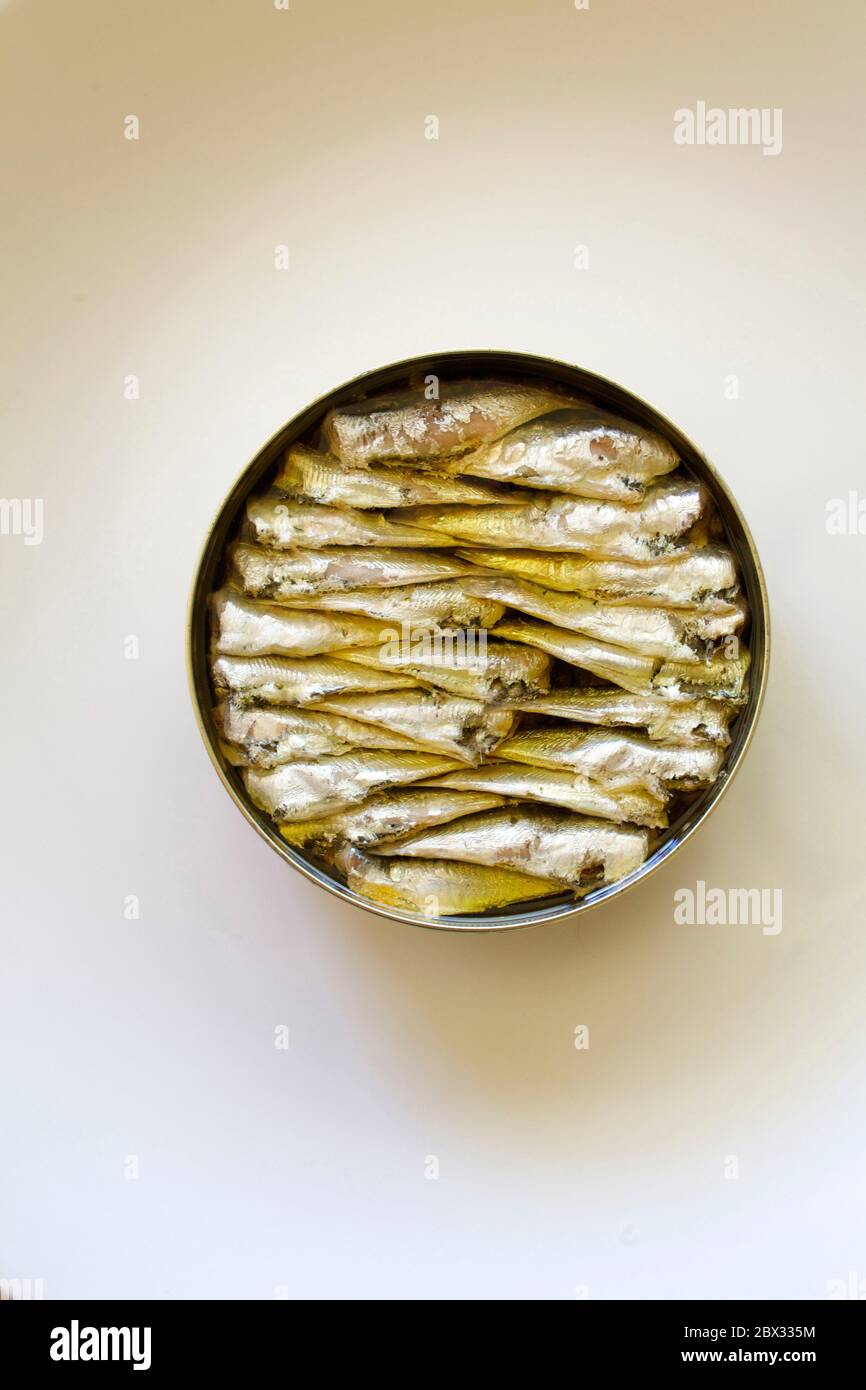 Spagna, Galizia, Ramon pena conserva, piccole sardine in olio Foto Stock