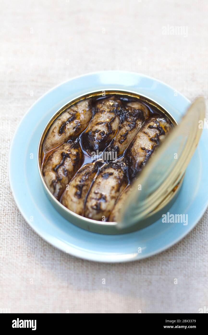 Spagna, Galizia, Ramon pena conserva, calamari in inchiostro Foto Stock