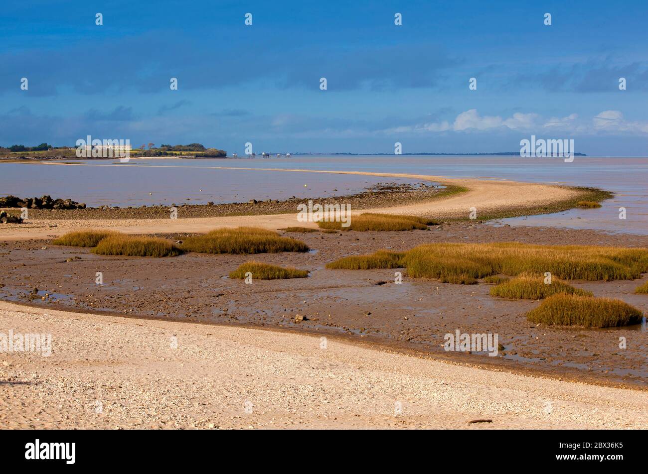 Francia, Charente-Maritime (17), l'Ile Madame située sur l'estuaire de la Charente, la Passe aux Boeufs à marée basse Foto Stock