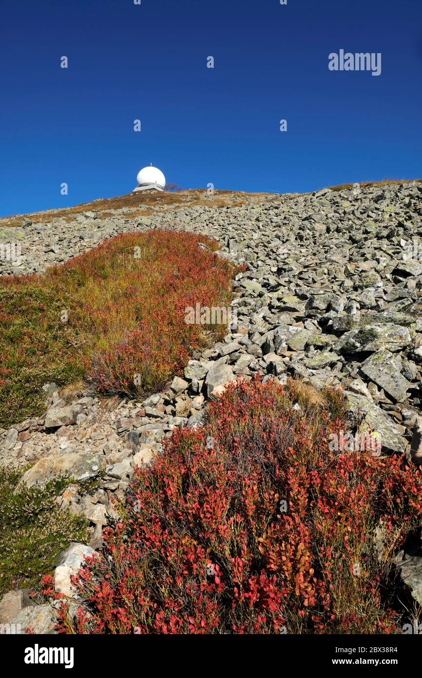 Francia, Alto Reno, Hautes Vosges, Grand Ballon, vetta (1424m), rocce, mirtilli, radar per l'aviazione civile Foto Stock