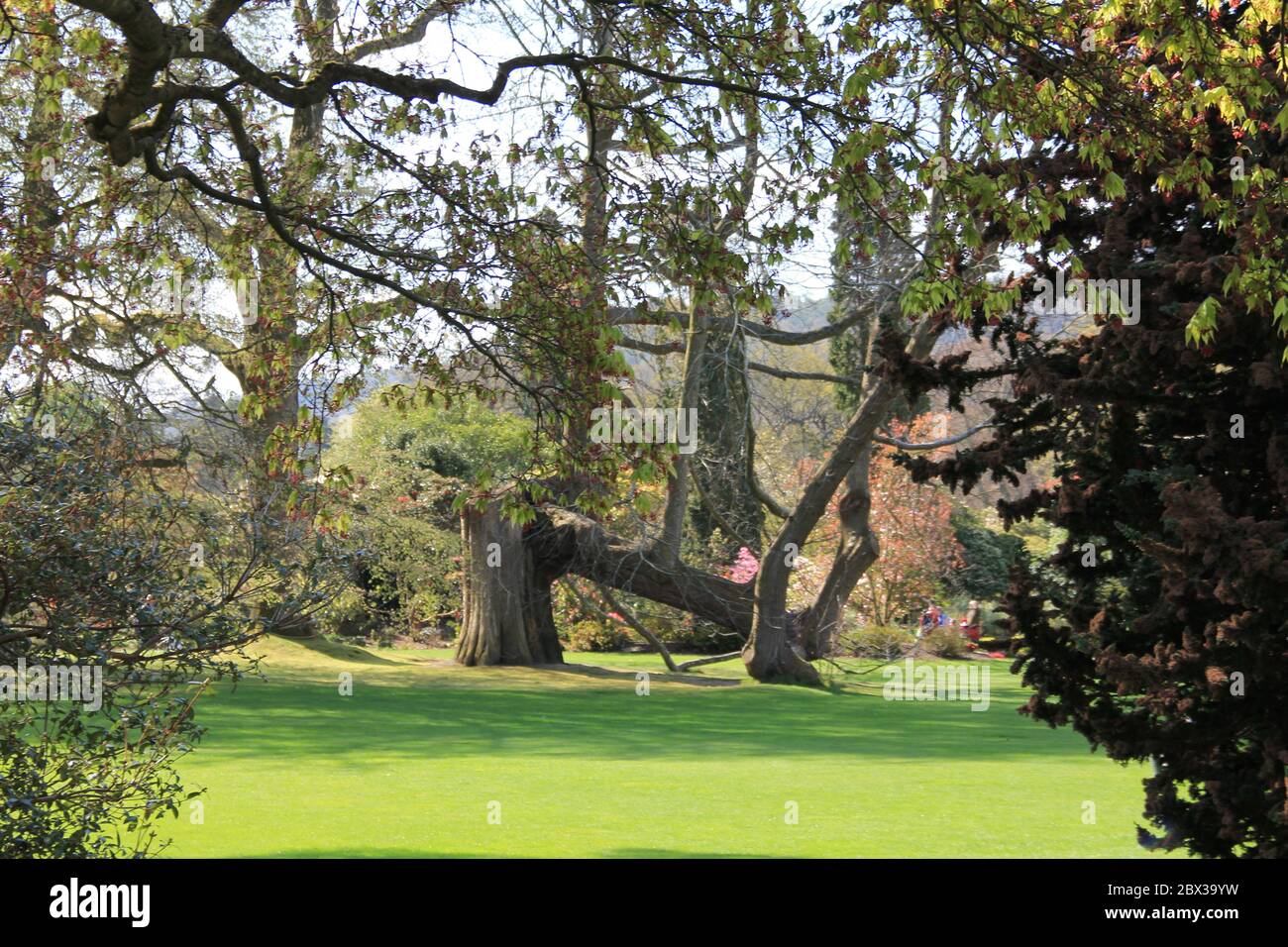 Giardino Bodnant in Galles, Regno Unito Foto Stock