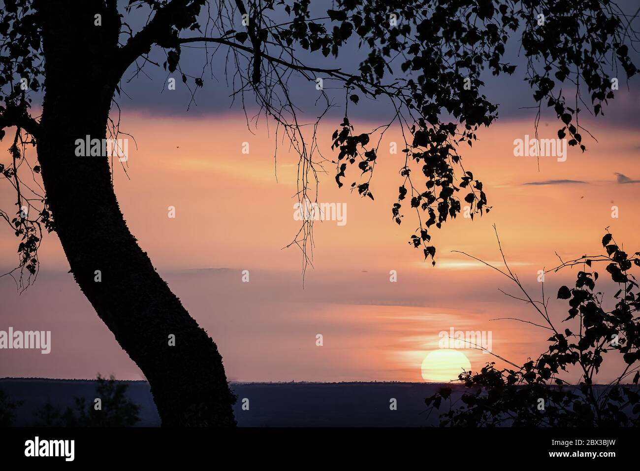 Tramonto sulle colline di Surrey Foto Stock