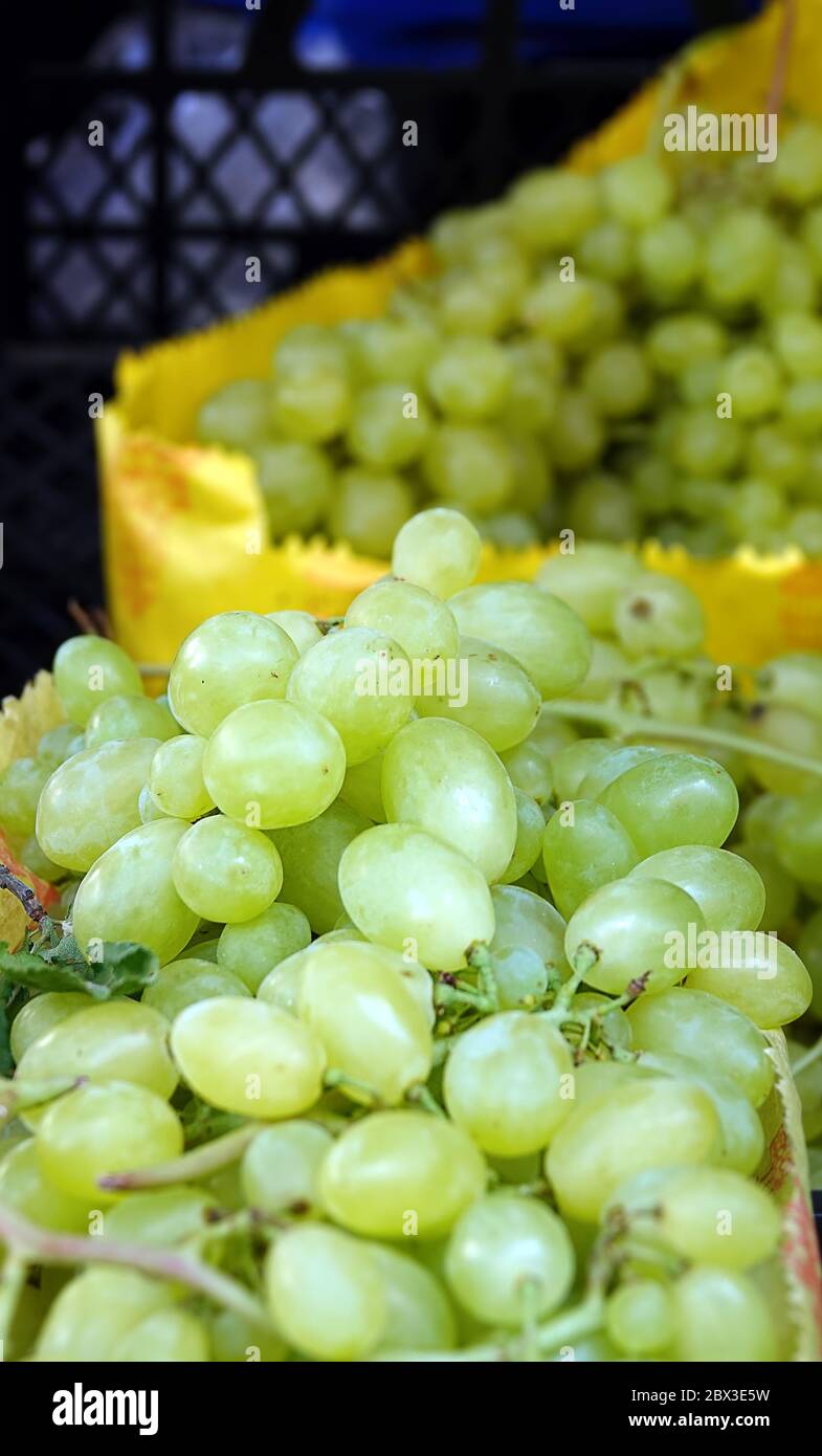 Biologico Juicy e sembra così deliziosa uva da frutta Foto Stock