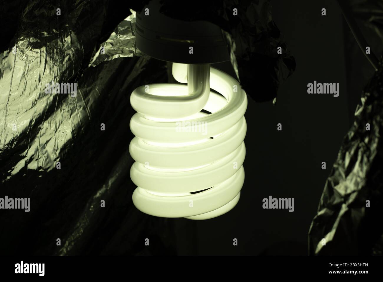 Ampia lampadina a risparmio energetico in una stanza buia da vicino. Foto Stock