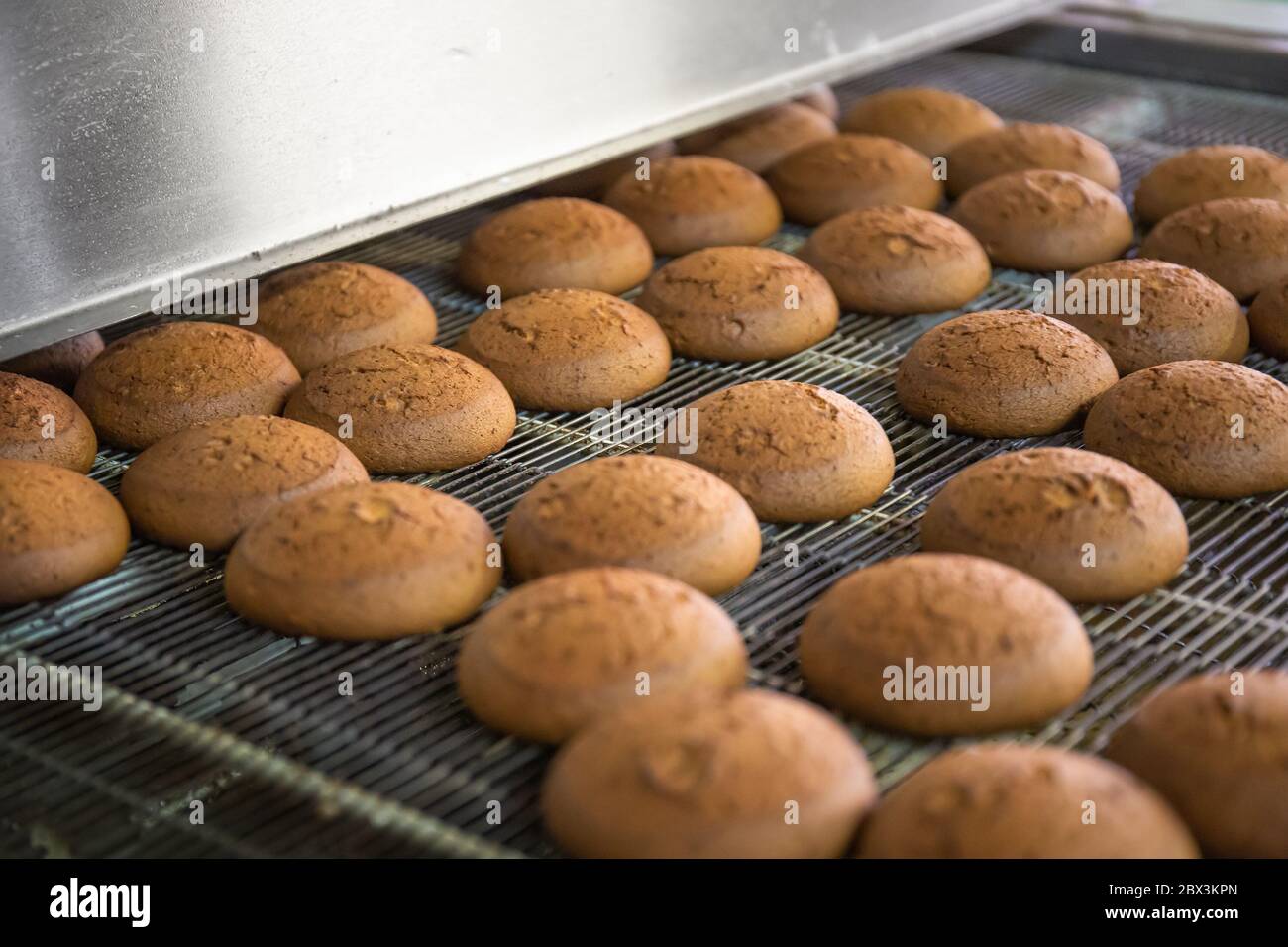 Torte su nastro trasportatore in prodotti di fabbrica, dolciari o dolci da dessert. Foto Stock