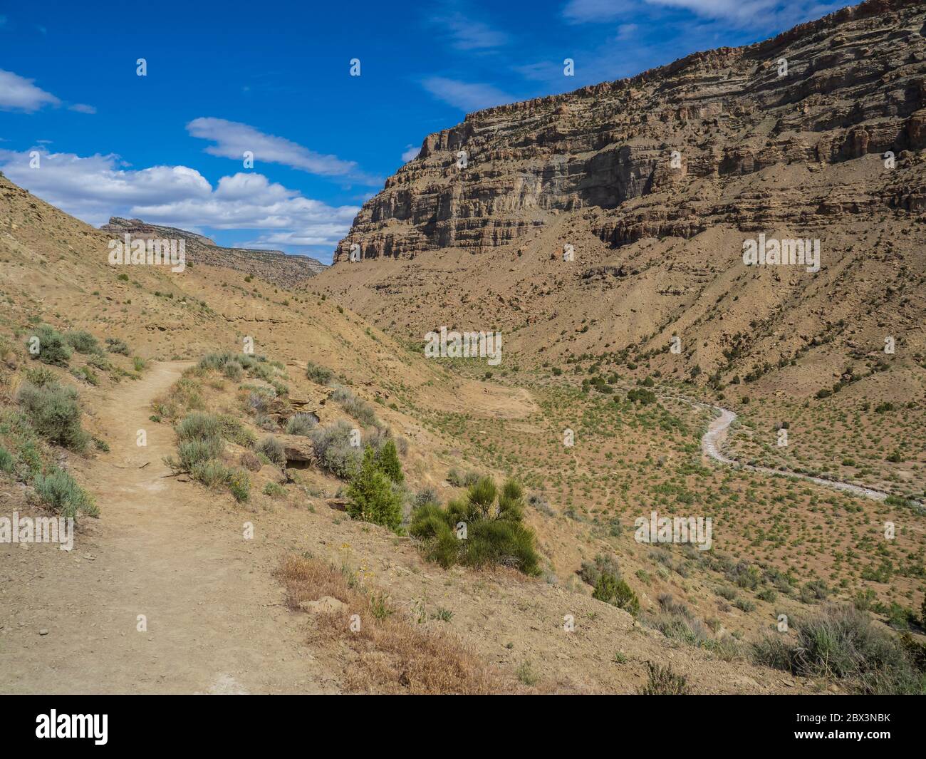 Main Canyon Trail, Little Book Cliffs Wild Horse Range, Little Book Cliffs Wilderness Study Area vicino a Palisade, Colorado. Foto Stock