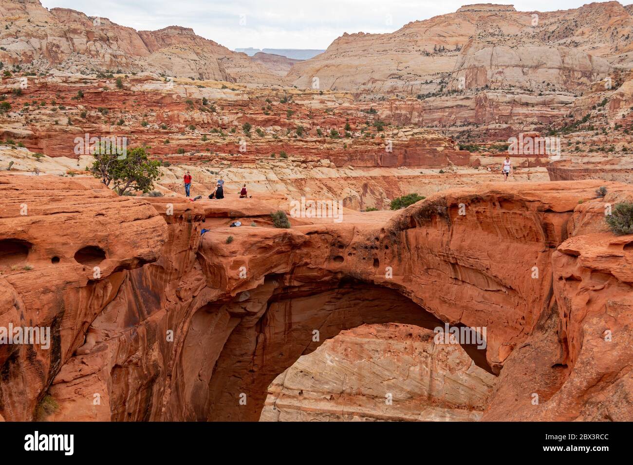 Giorno del bellissimo Cassidy Arch del Capitol Reef National Park nello Utah Foto Stock