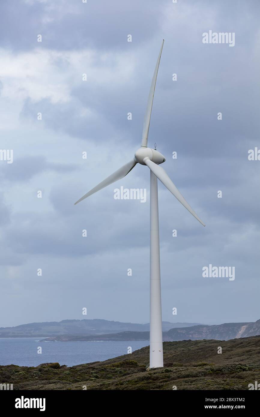 Vista delle turbine eoliche presso l'azienda eolica di Albany in una giornata di lavoro Foto Stock