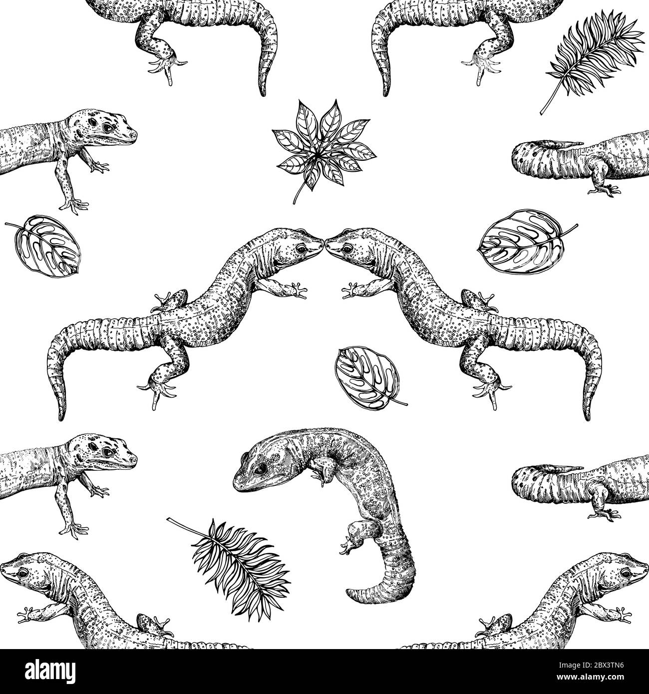 Motivo senza giunture di gecko e piante disegnate a mano isolate su sfondo bianco. Illustrazione vettoriale. Illustrazione Vettoriale