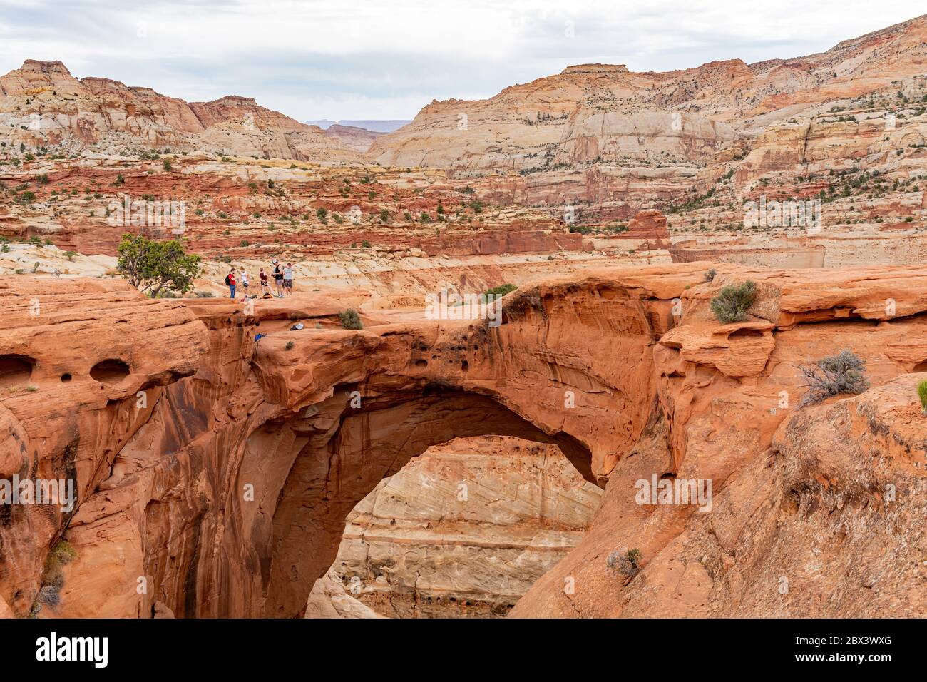 Giorno del bellissimo Cassidy Arch del Capitol Reef National Park nello Utah Foto Stock