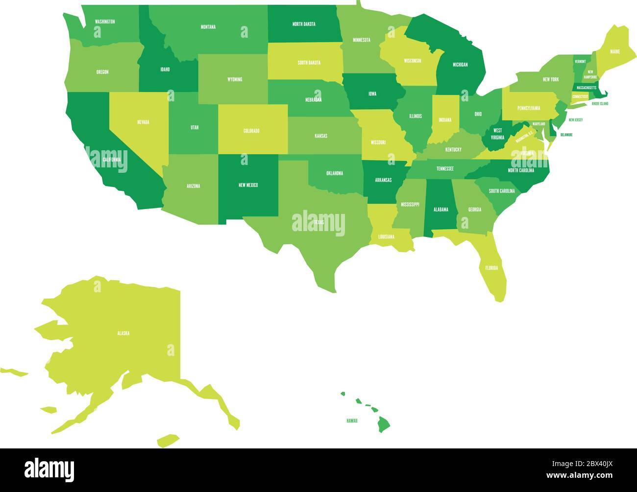 Mappa politica degli Stati Uniti d'America, USA. Semplice mappa vettoriale piatta in quattro tonalità di verde con etichette bianche su sfondo bianco. Illustrazione Vettoriale