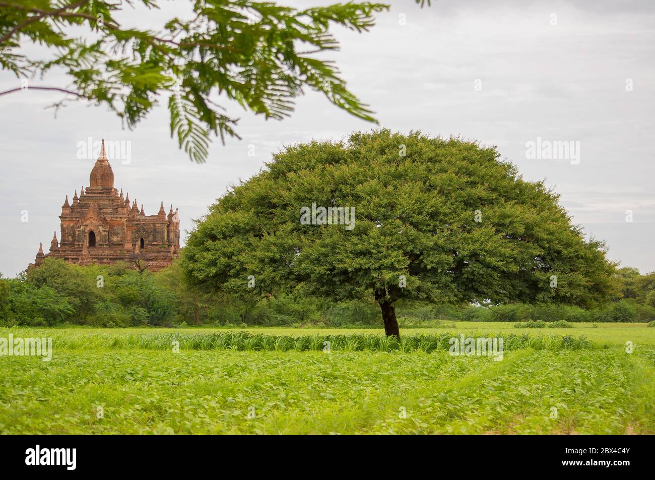 Bagan è un'antica città patrimonio dell'umanità dell'UNESCO, situata nella regione di Mandalay, Myanmar. Foto Stock