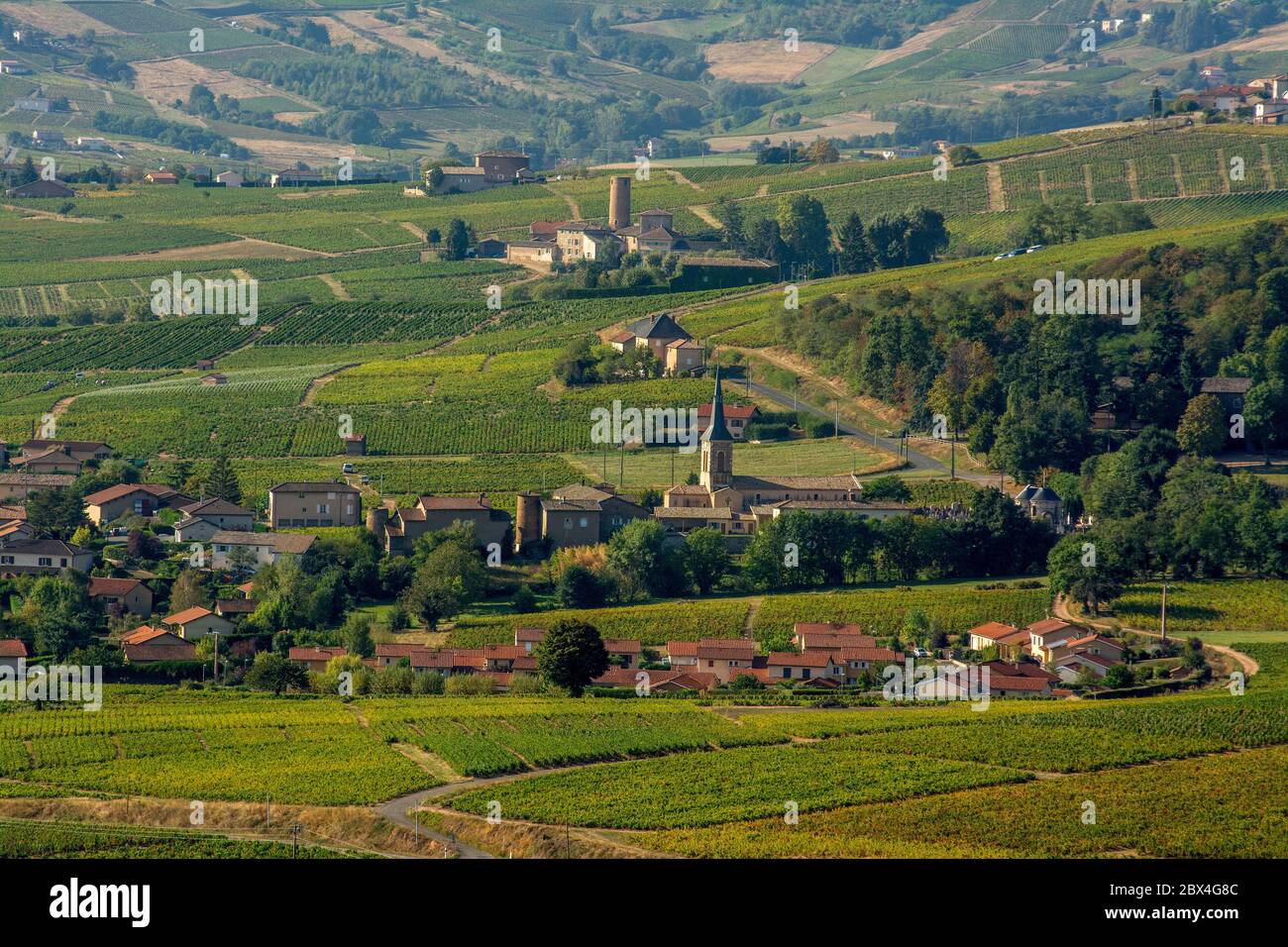 Villaggio di Odenas nella regione Beaujolais, Rhône, Francia, Europa Foto Stock