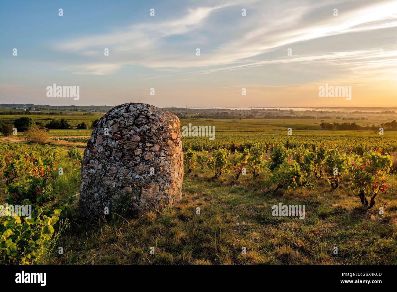 Ben capanna in Beaujolais vigneto, Rodano, Auvergne-Rodano-Alpi, Francia Foto Stock