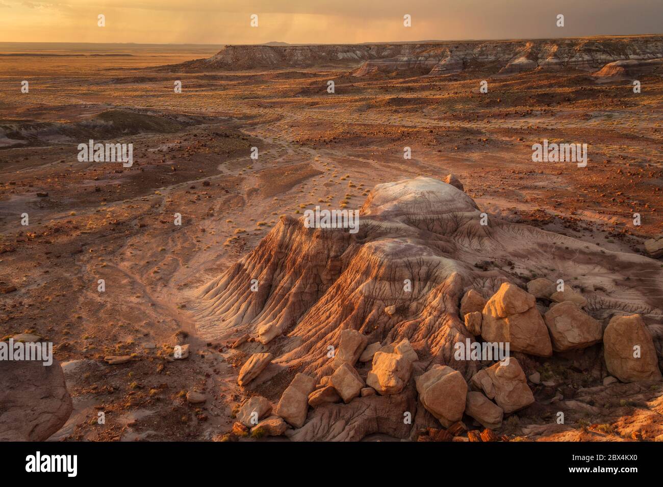 Tramonto nel deserto dipinto in Arizona Foto Stock