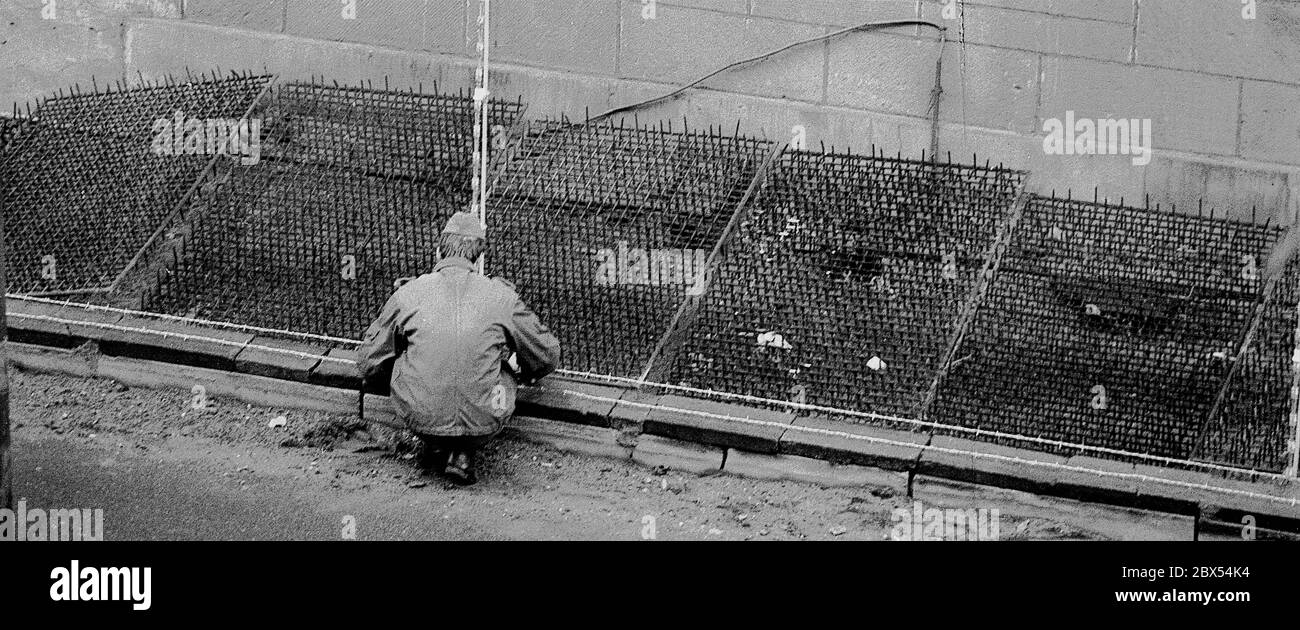 Berlino / Neukoelln / parete della DDR / 10 / 1980 parete della DDR su Bouchestrasse tra Neukoelln e Treptow. Il confine sale fino alle case a Berlino Est. Per questo motivo, le guardie di frontiera della RDT hanno posto dei tappetini con le zerbini sotto le finestre per impedire agli abitanti di fuggire in Occidente. // Installazione frontaliera/ Stasi [traduzione automatizzata] Foto Stock