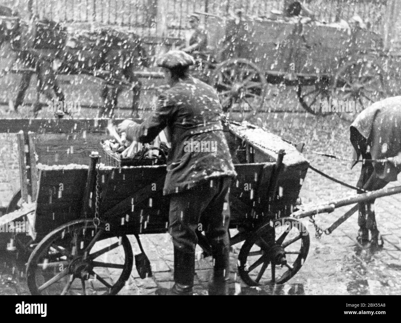 Un carter carica un cestino di legna nel suo carrello trainato da cavalli. La neve sta già cadendo. La legna gli fu donata come regalo per la sua famiglia. Foto Stock