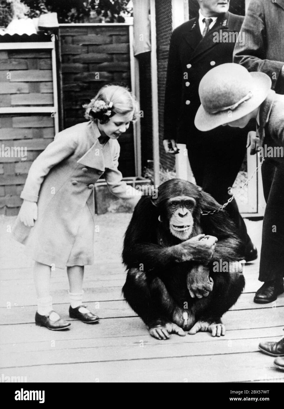 La principessa britannica Elizabeth II visita lo Zoo di Londra con la sorella Margaret Rose. L'immagine mostra Elizabeth II che stracciava lo scimpanzé Jackie. Foto Stock