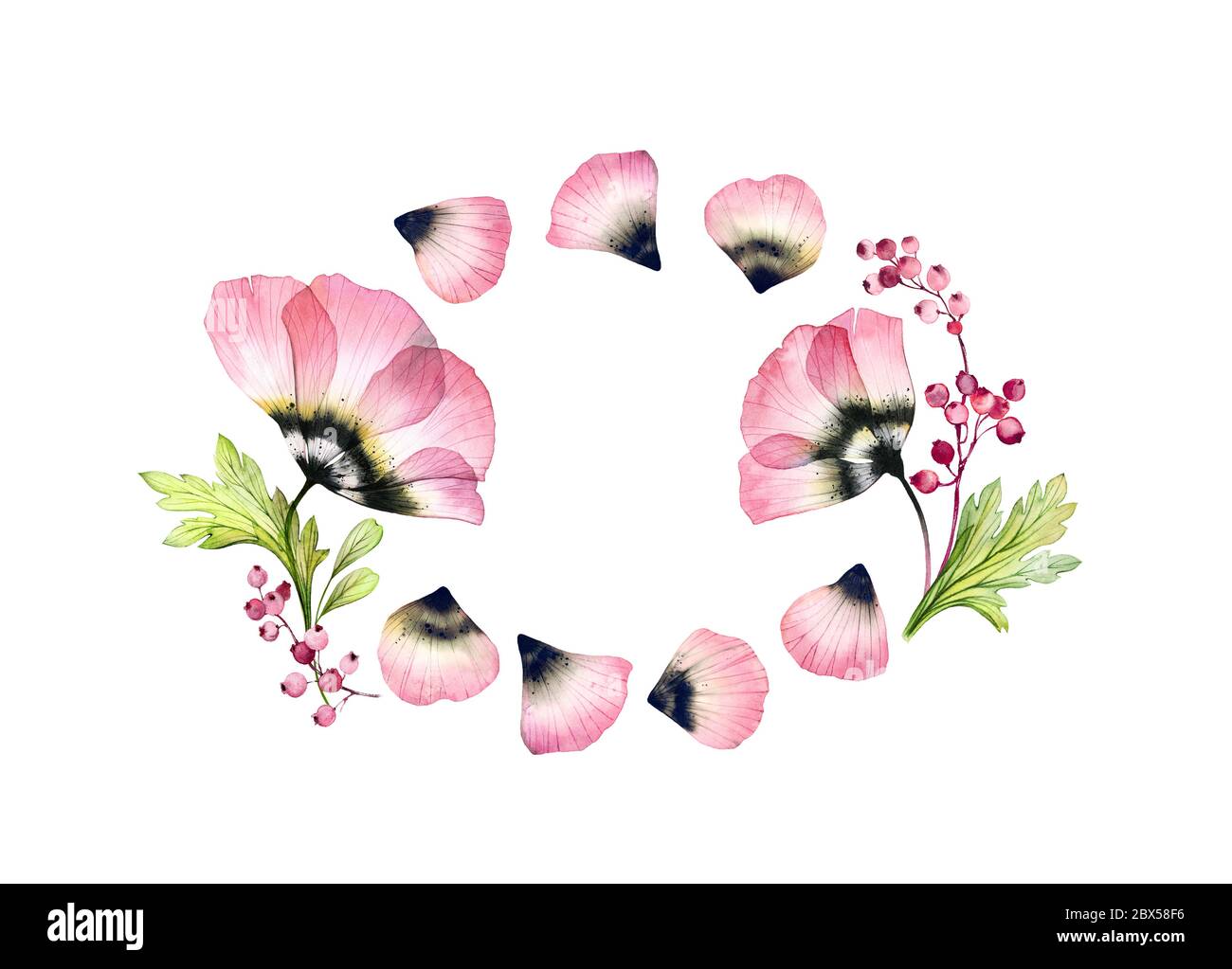 Cornice floreale acquerello. Modello di intestazione orizzontale con posizione per il testo. Fiori di tulipano trasparenti e petali volanti in disposizione ovale. Isolato Foto Stock