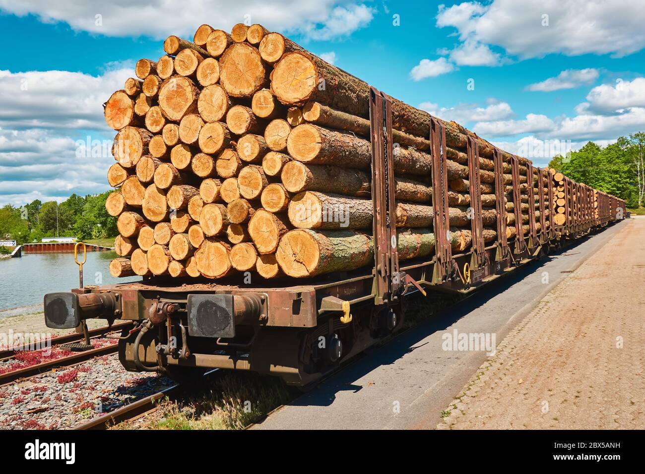 Vista laterale dei tronchi appena sfornati durante il trasporto su un carro ferroviario nel porto Foto Stock