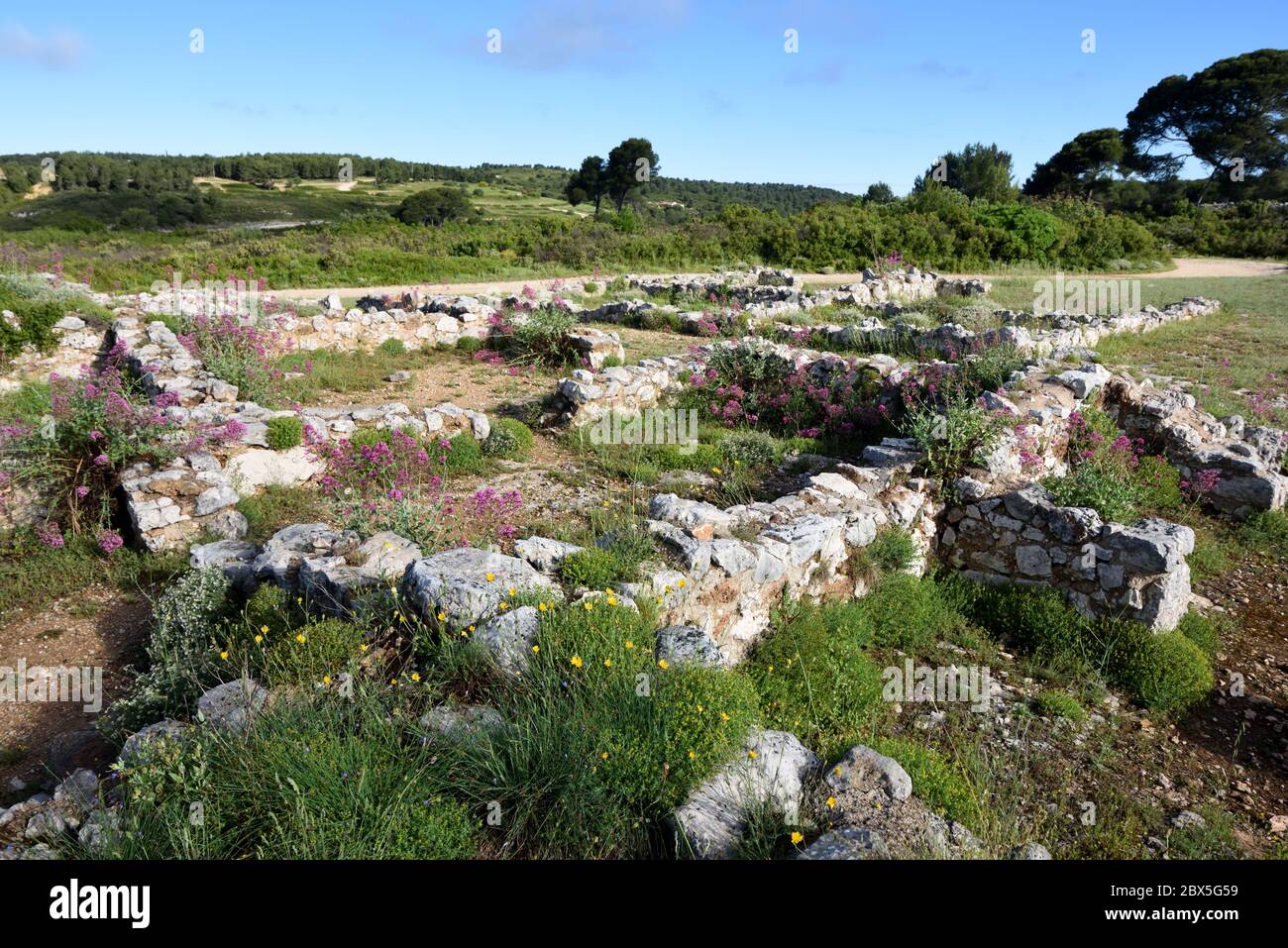 Rovine di Oppidum Celto-Ligure o villaggio gallico fortificato noto come Camp Marius che mostra il profilo di case di pietra sull'altopiano di Ventabren Provenza Francia Foto Stock