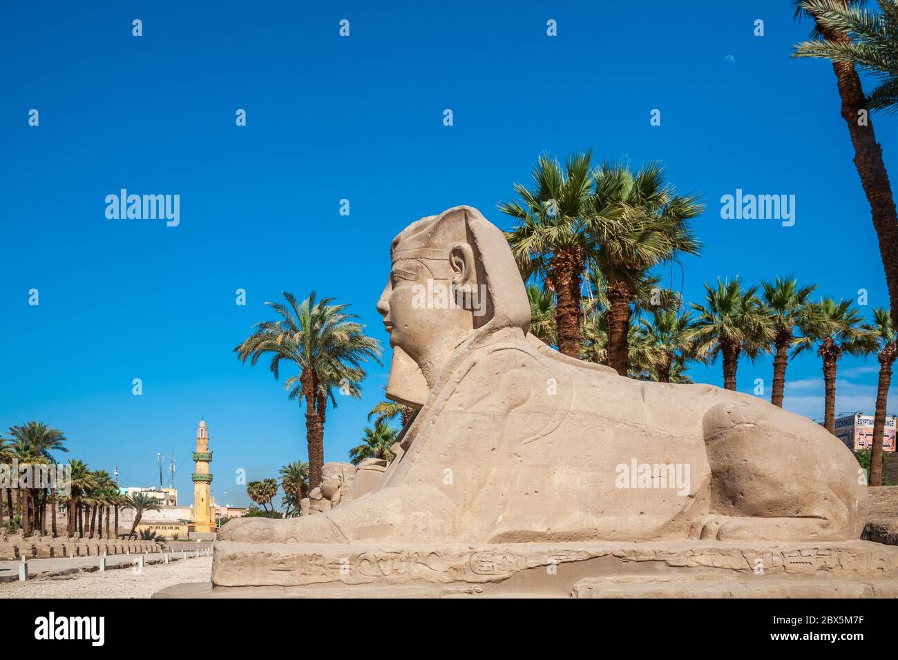 Vicolo di Sphinx nel complesso del tempio di Karnak, Luxor, Egitto Foto Stock
