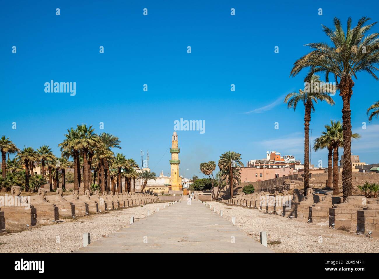 Vicolo di Sphinx nel complesso del tempio di Karnak, Luxor, Egitto Foto Stock