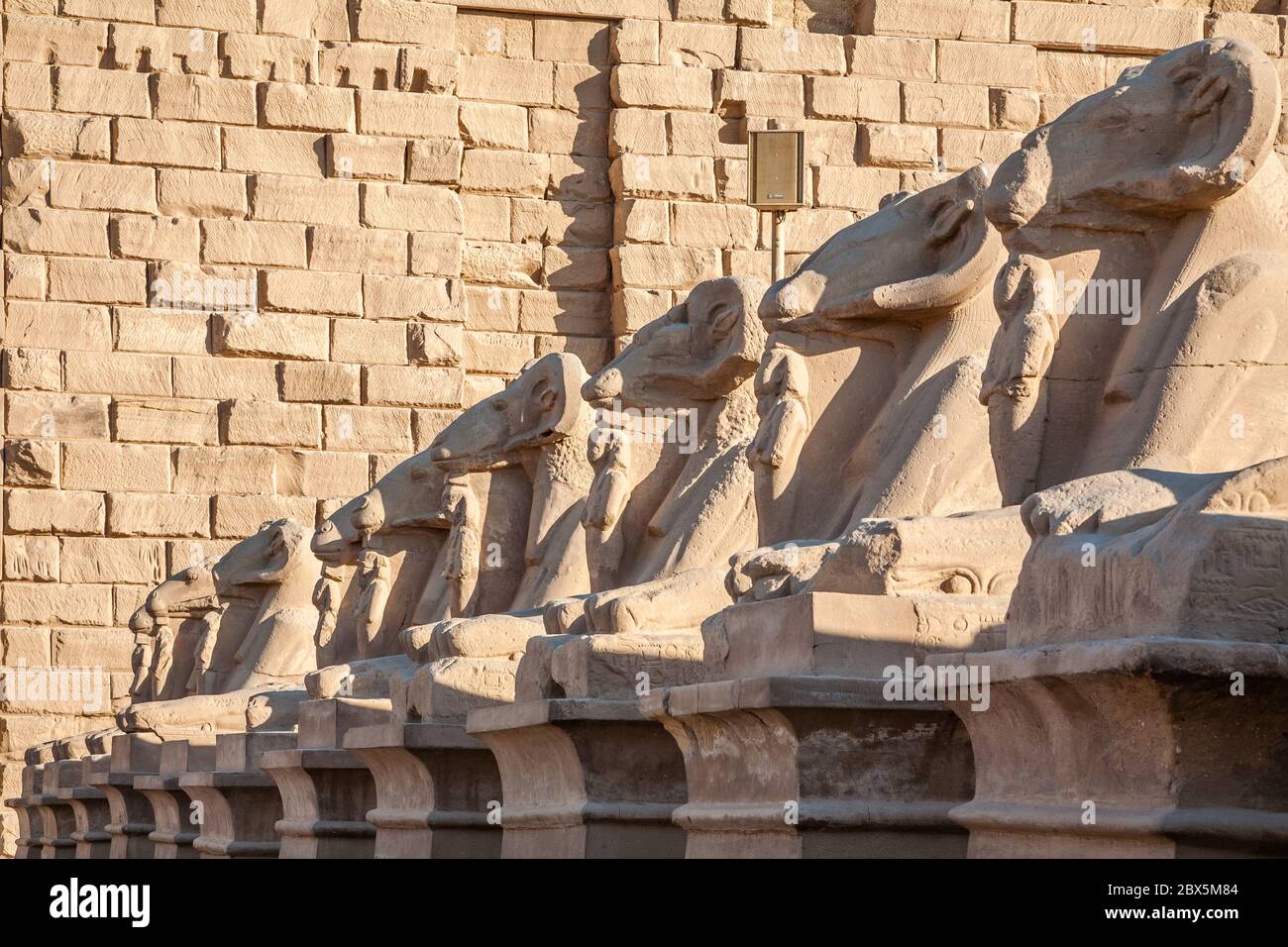 Sfingi a testa di RAM nel complesso del tempio di Karnak, Luxor, Egitto Foto Stock