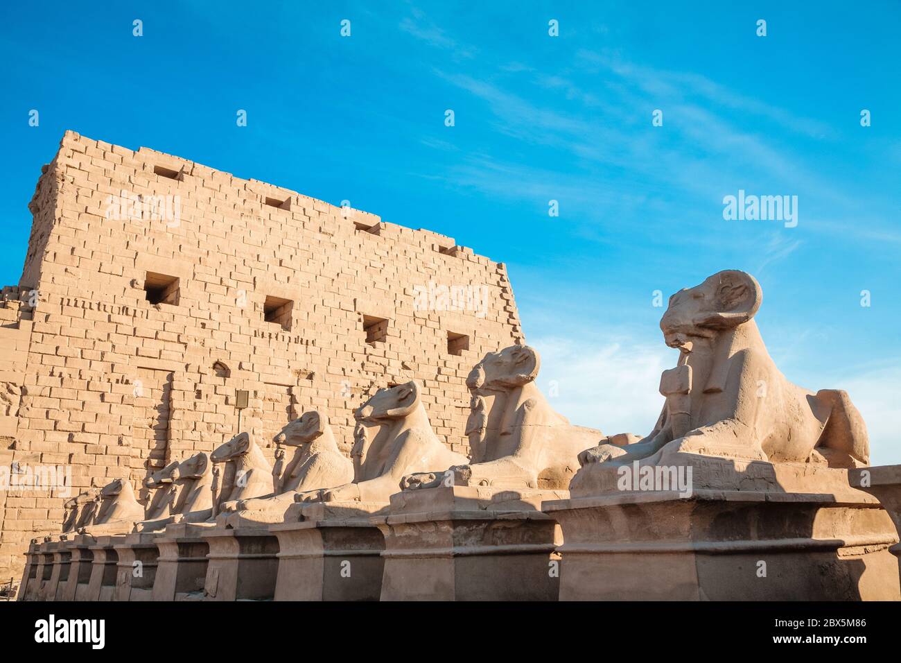 Sfingi a testa di RAM nel complesso del tempio di Karnak, Luxor, Egitto Foto Stock